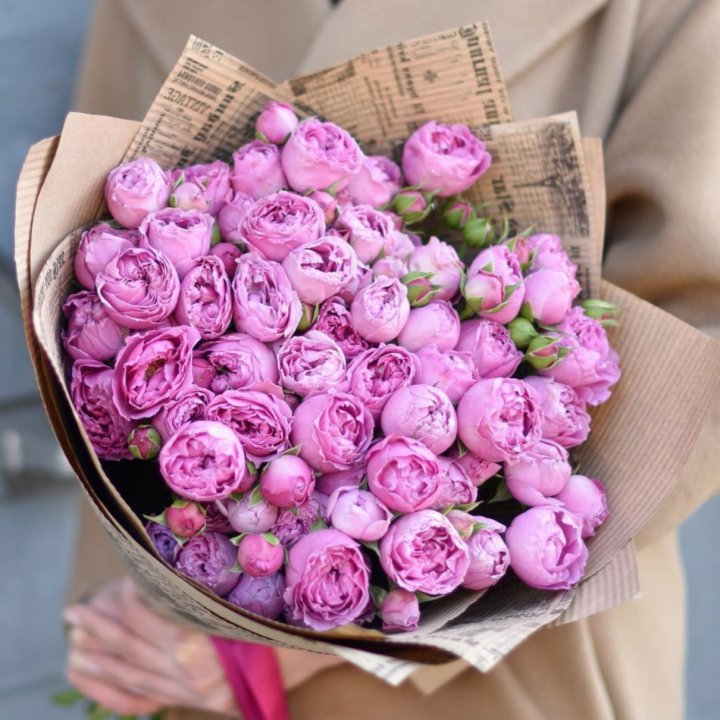 Роза Мисти Баблс в Волгограде