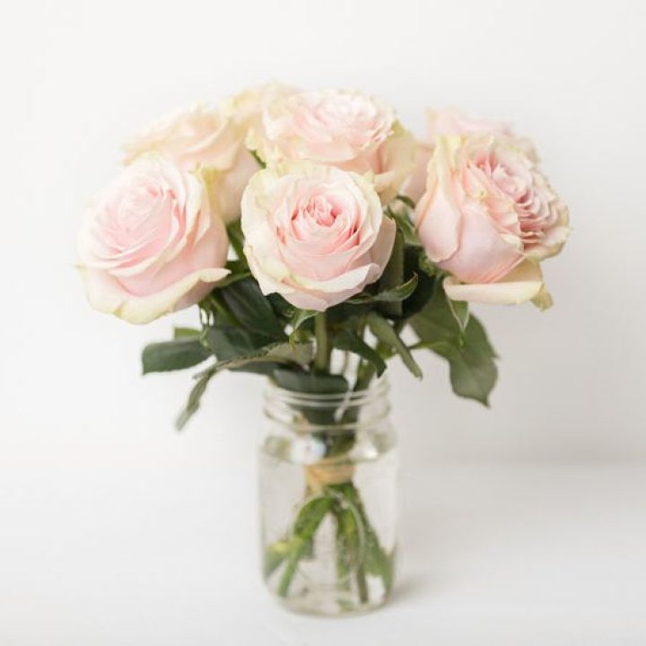 7 кремовых роз в Волгограде