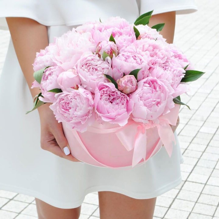 Пионы в шляпной коробке в Волгограде