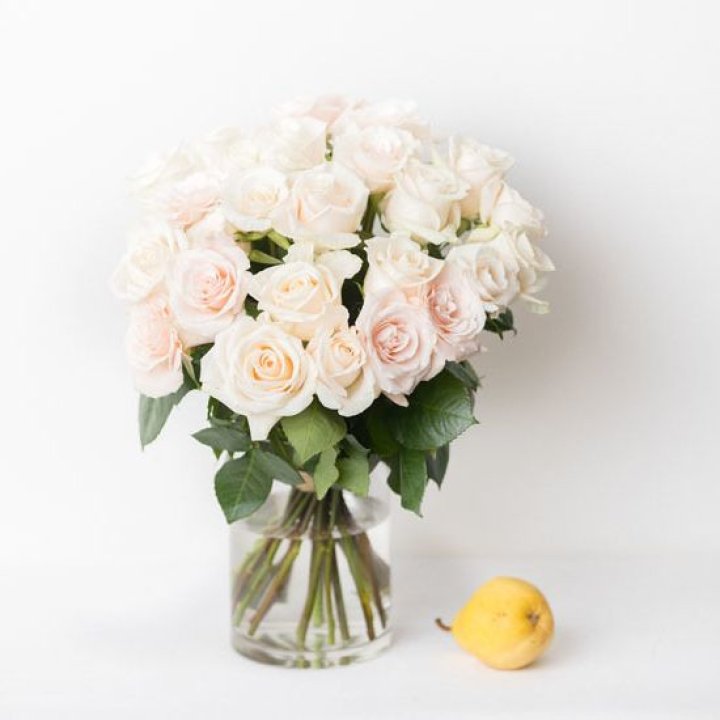 25 кремовых роз в Волгограде