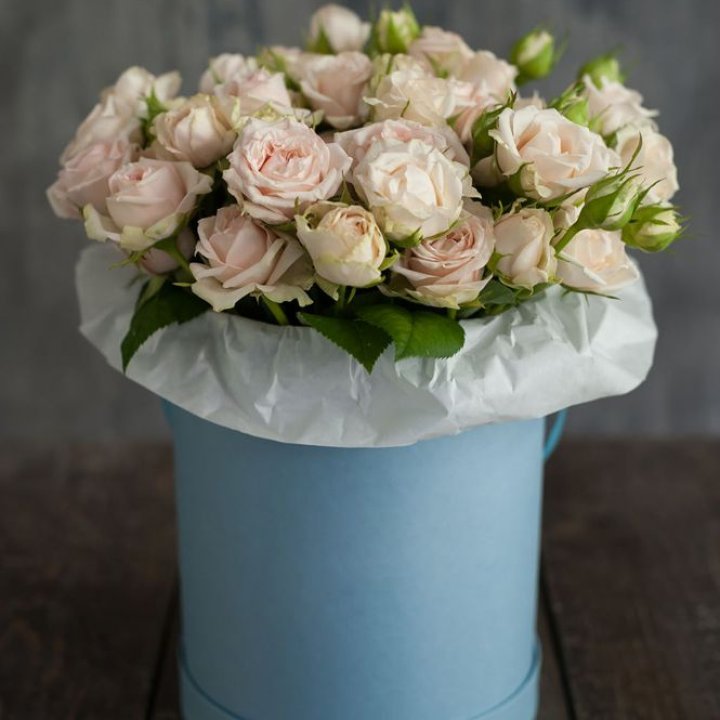 Бокс с бомбастиком в Волгограде