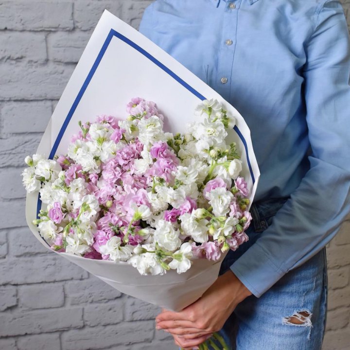 Маттиола в Волгограде