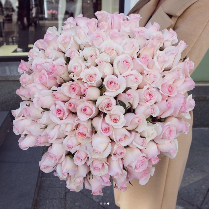 Розы "Пинк бум" в Волгограде