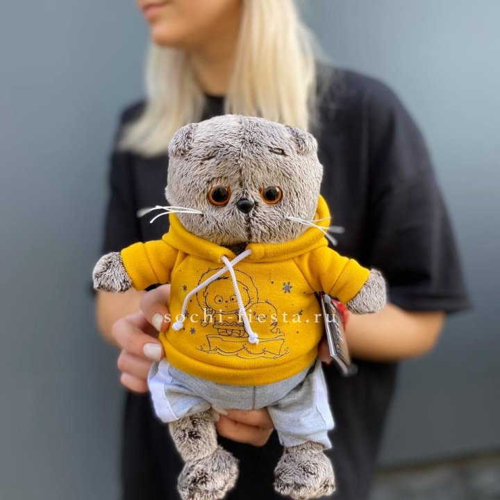 Кот Басик в худи в Волгограде