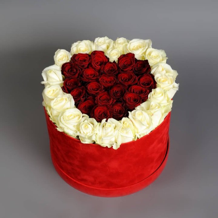 39 красных и белых роз в цилиндре в Волгограде