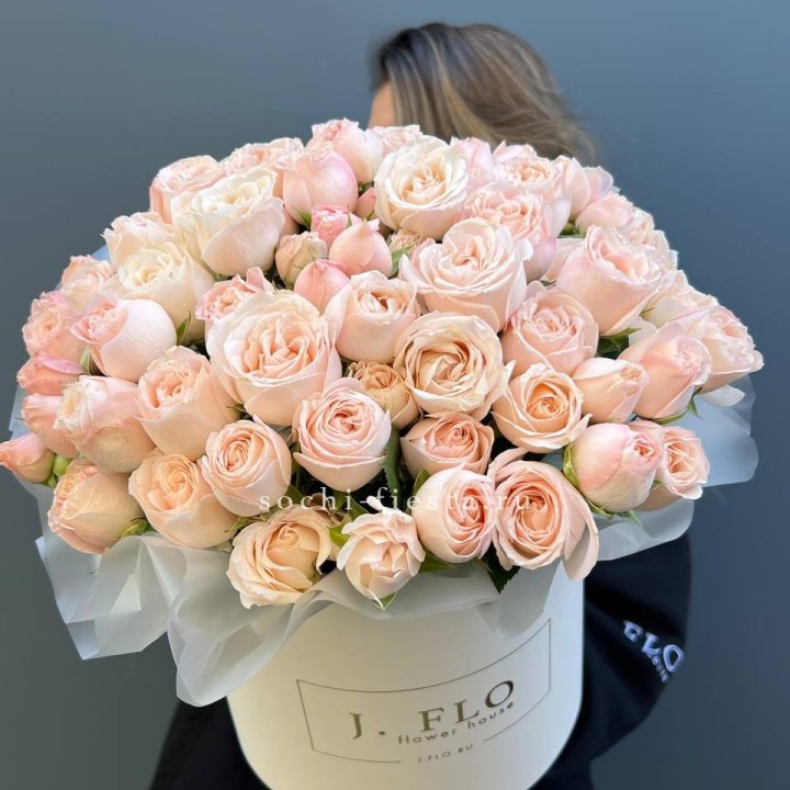 Бомбастик бокс Премьер в Волгограде