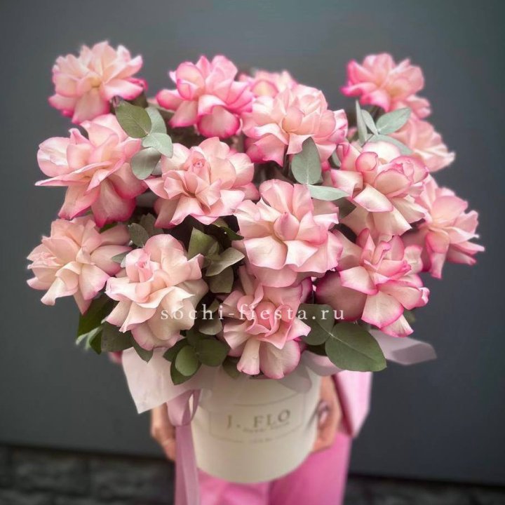 17 Французских  роз Венди в боксе в Волгограде