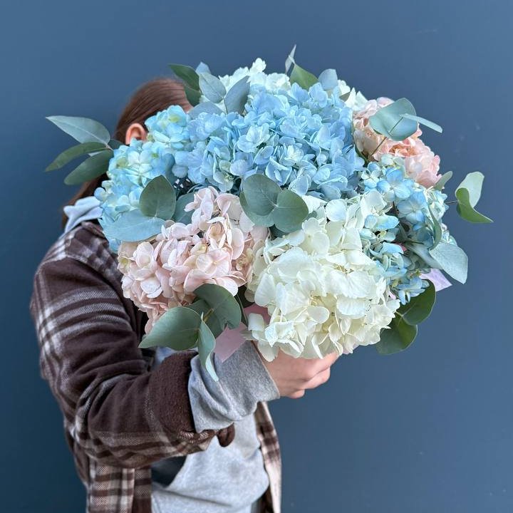 Гортензии в коробочке в Волгограде