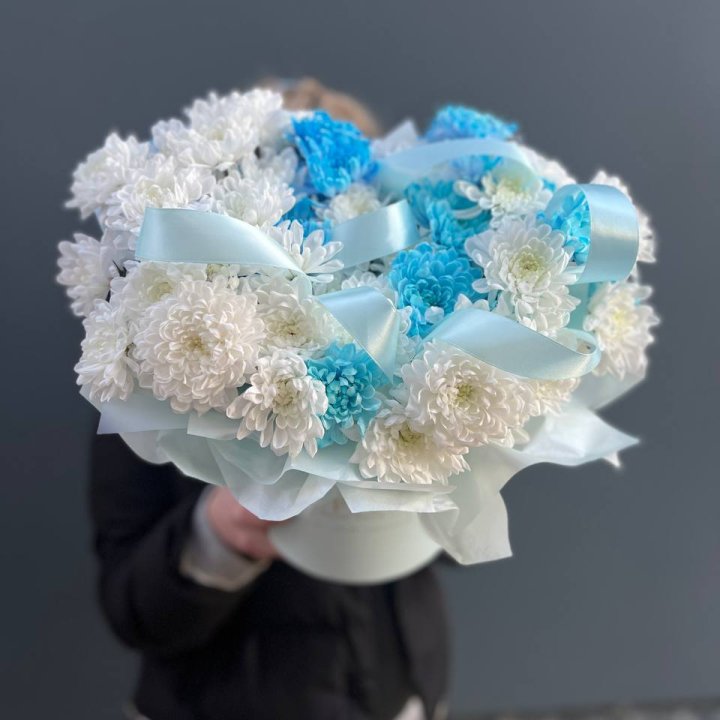 Хризнтемы в боксе в Волгограде