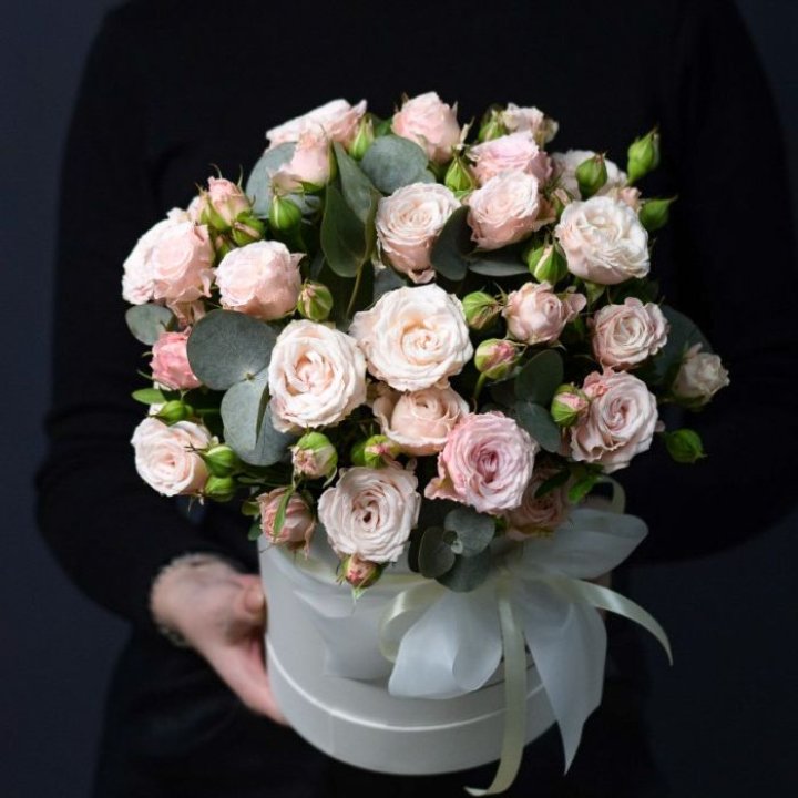 Бомбастик бокс №2 в Волгограде