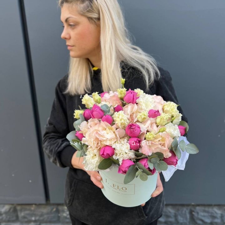 Сборный бокс премьер в Волгограде