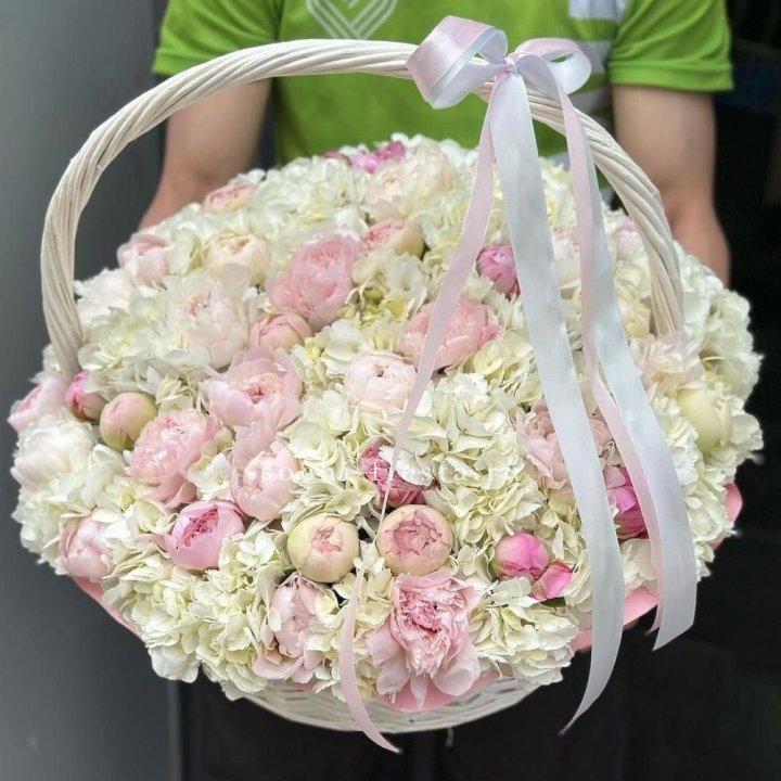 Премиум корзина гортензий и пионов в Волгограде