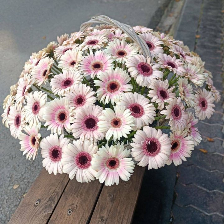 Корзина с герберами  в Волгограде