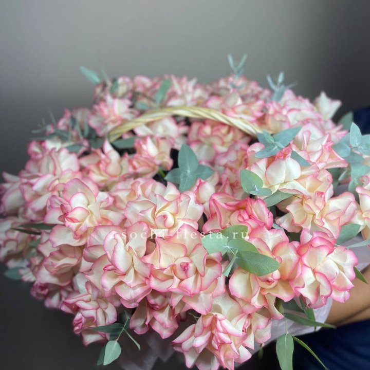 51 джумилия  в корзине   в Волгограде