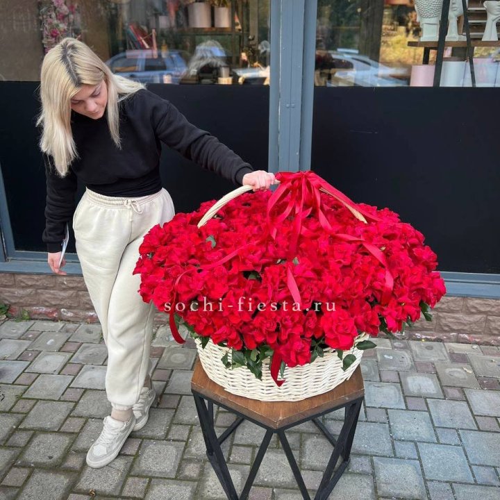 201 французская красная роза в Волгограде