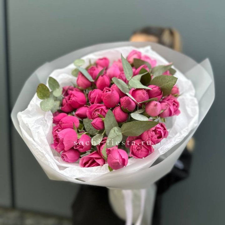 17 Мисти бабблс в Волгограде