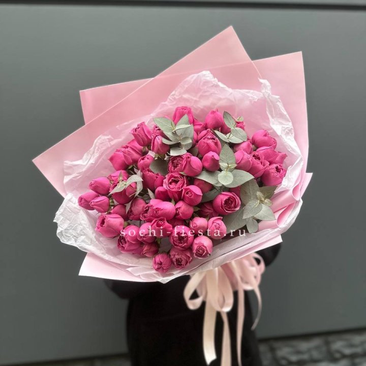 25 Мисти бабблс в Волгограде