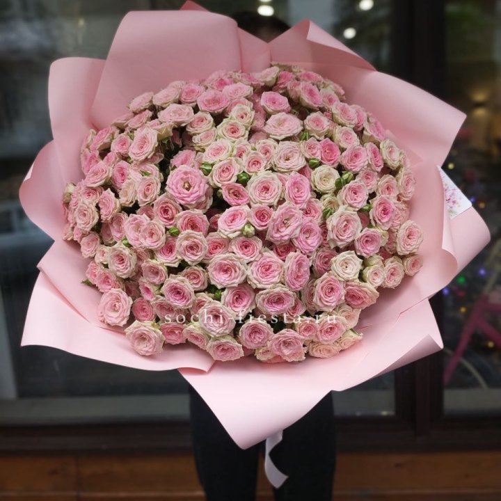 51 кустовая роза Твистер в Волгограде