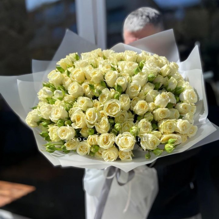 Белые кустовые розы 31 шт в Волгограде