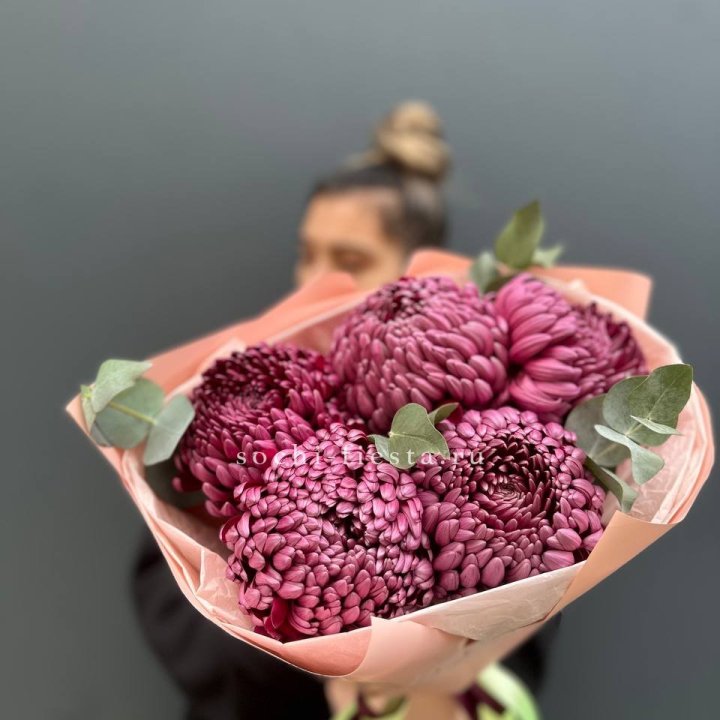 Хризантемы  Бигуди  в Волгограде