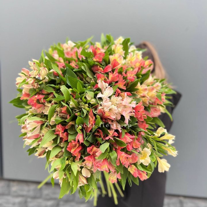 51 альстромерия в Волгограде