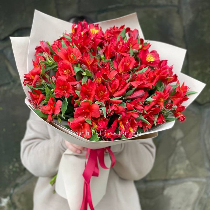 51 альстромерия в Волгограде