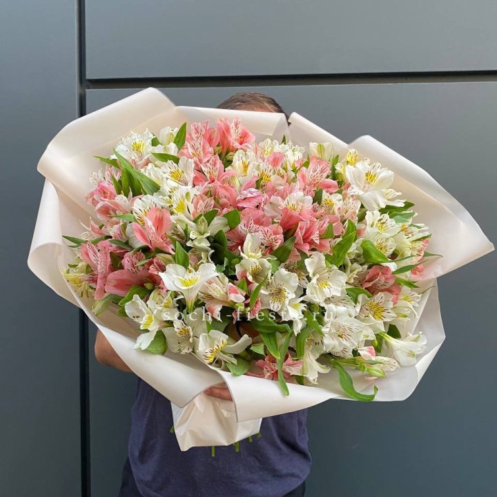 39 альстромерий в Волгограде