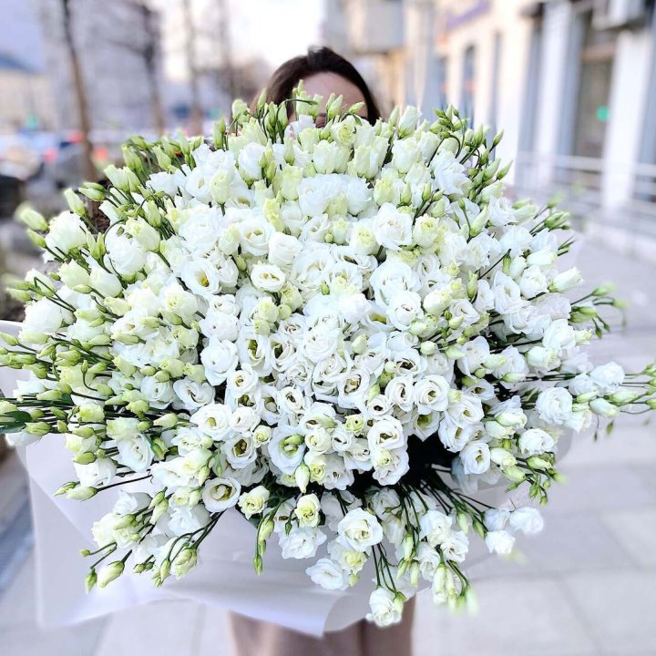 101 белая эустома в Волгограде