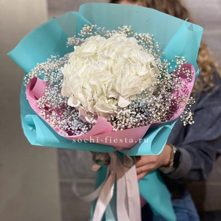 Гортензия "Райдов" в Волгограде