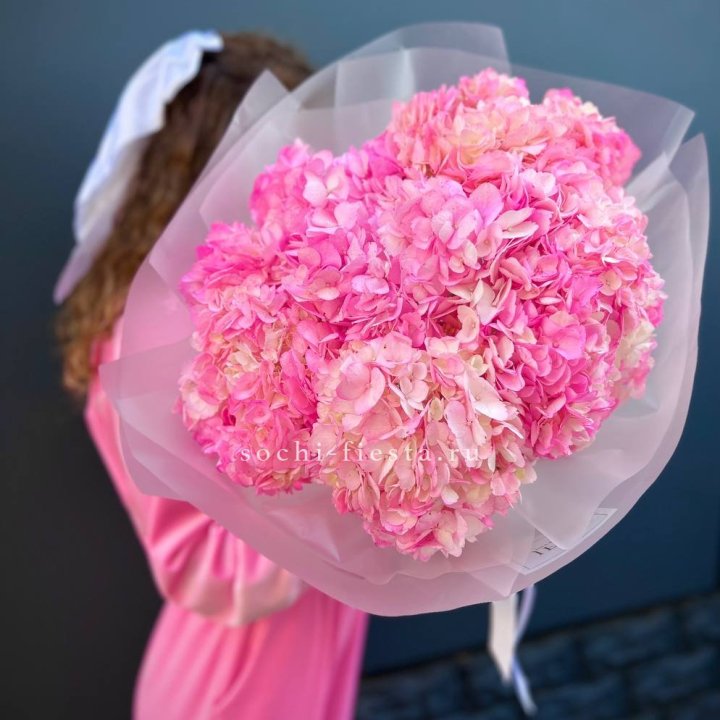 7 ярко розовых гортензий в Волгограде