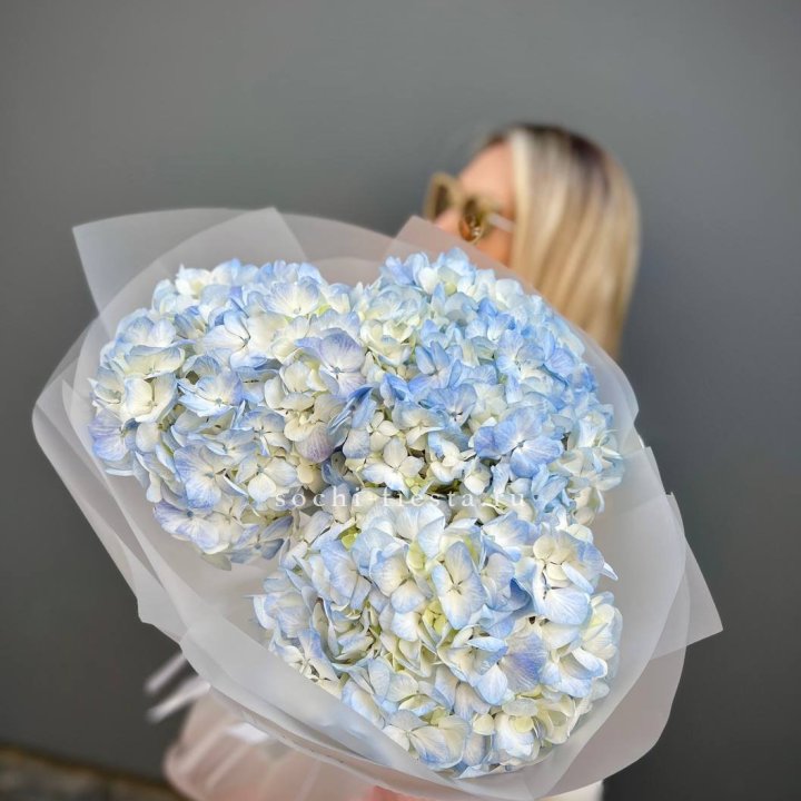 Букет из 3 голубых гортензий  в Волгограде