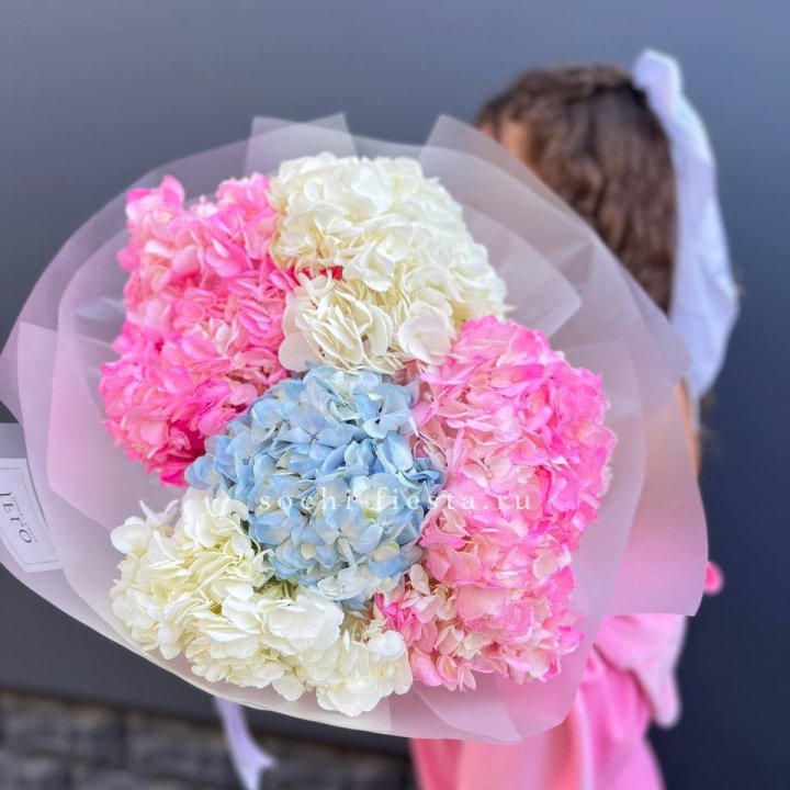 7 гортензий микс в Волгограде
