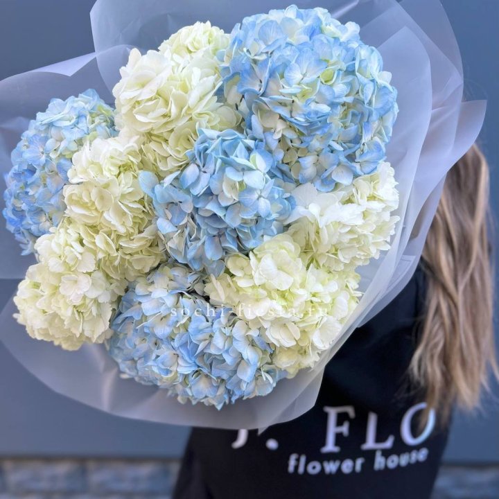 9 бело-голубых гортензий в Волгограде
