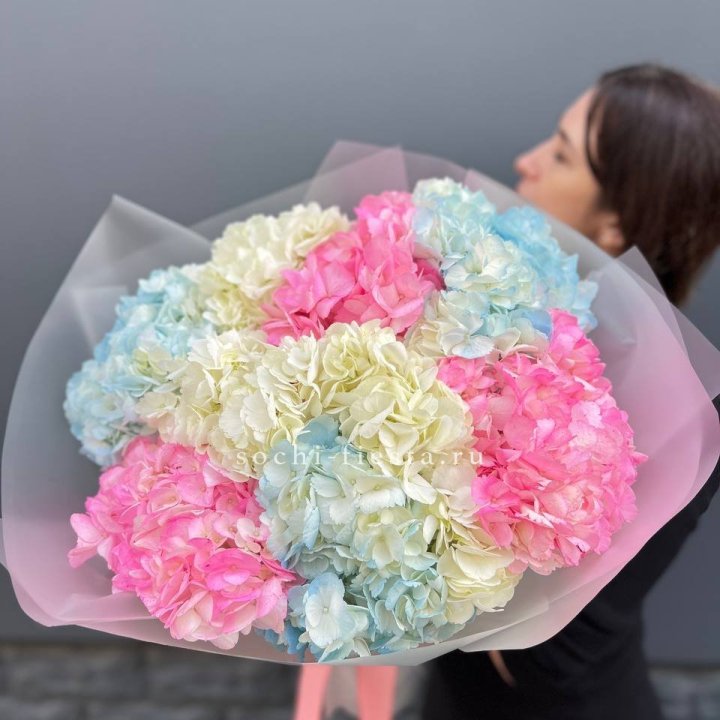 9 гортензий микс в Волгограде