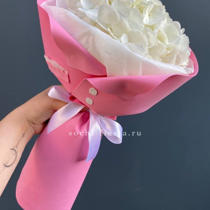 Гортензия в розовом пиджаке в Волгограде