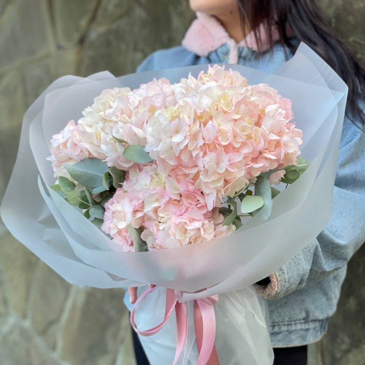 5 розовых гортензий в Волгограде