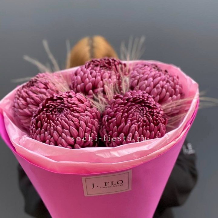 Хризантемы  Бигуди с стифой в Волгограде