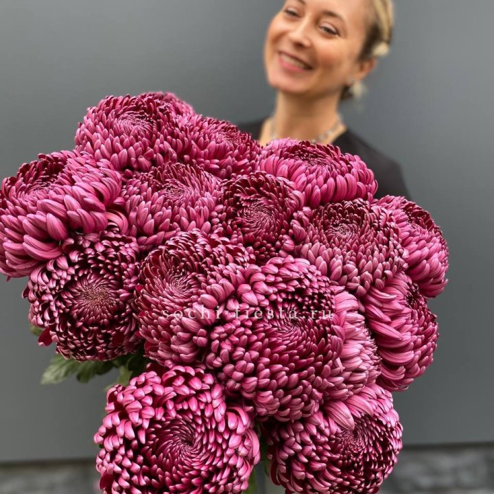 Охапка хризантем Бигуди в Волгограде