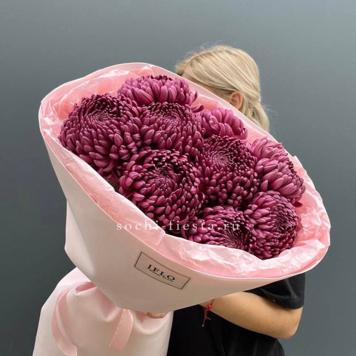 9 хризантем бигуди в Волгограде