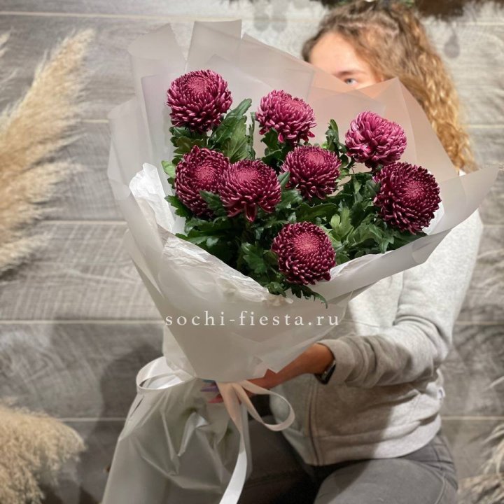 Хризантемы Бигуди в Волгограде