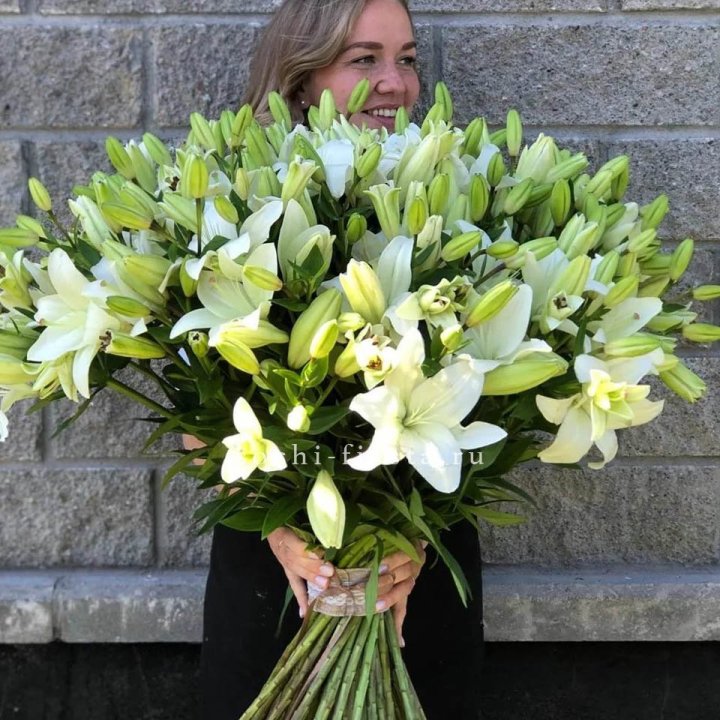 51 лилия в Волгограде