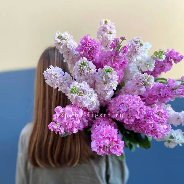 Охапка маттиолы в Волгограде