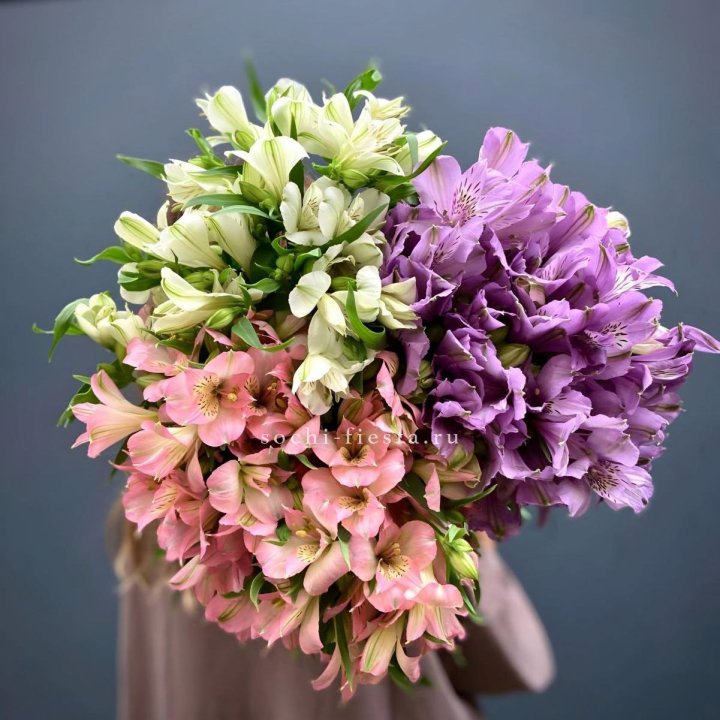 Охапка Альстромерии в Волгограде