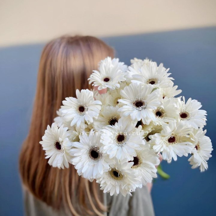 Охапка гербер в Волгограде