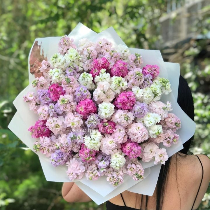 Букет ароматной маттиоллы №3 в Волгограде