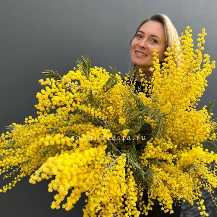 Охапка мимозы №2 в Волгограде