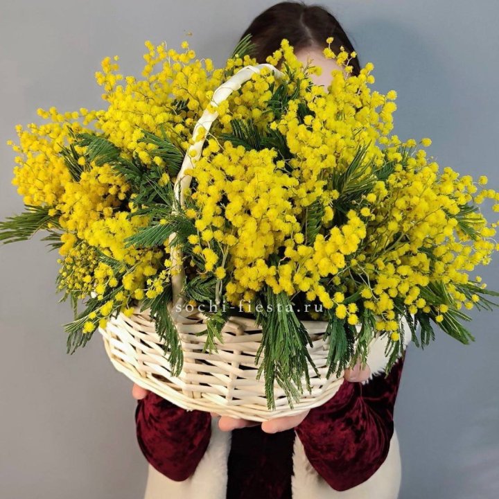 Корзина ароматной мимозы в Волгограде
