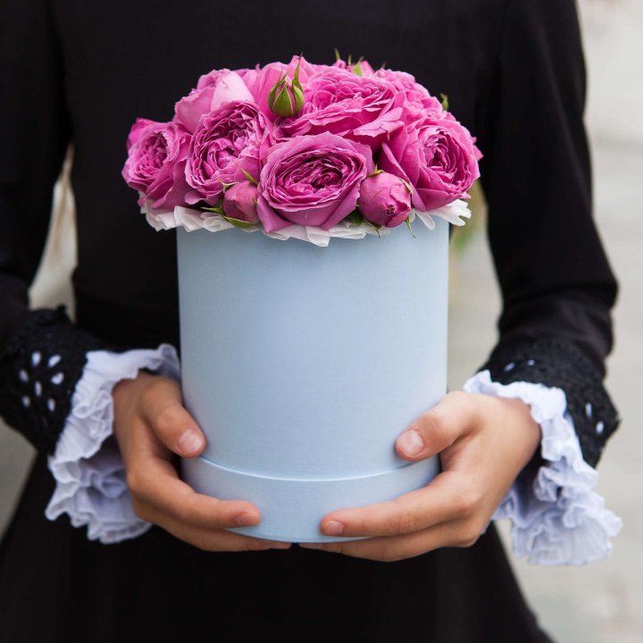 Бокс мини мисти в Волгограде