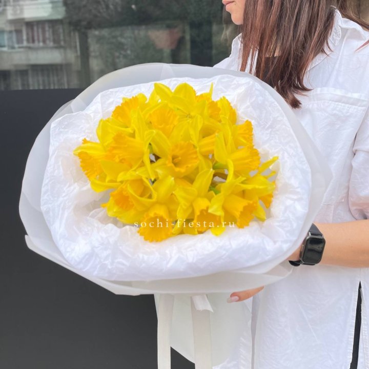 Нарциссы 25 шт в Волгограде