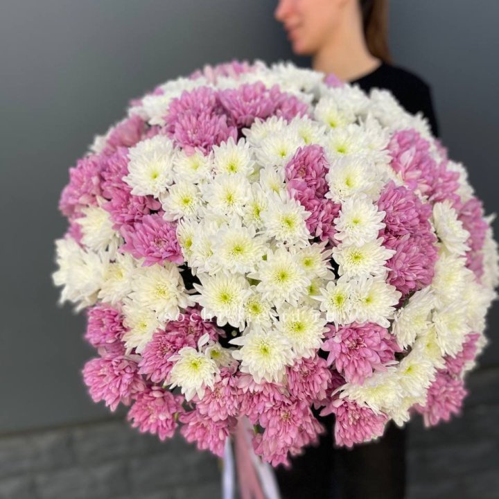  Букет 25 хризантем микс в Волгограде